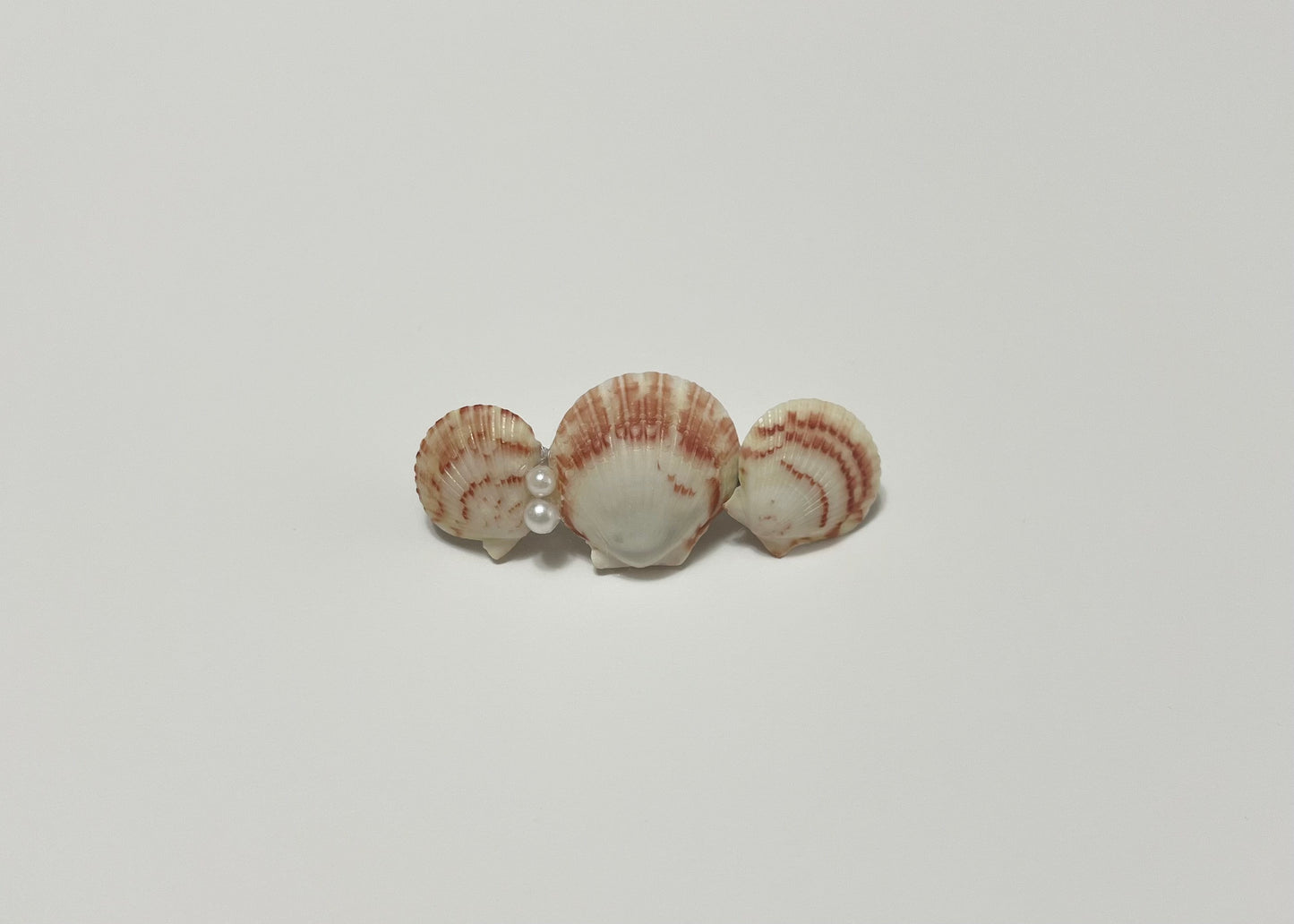 Seashell Barrette 2