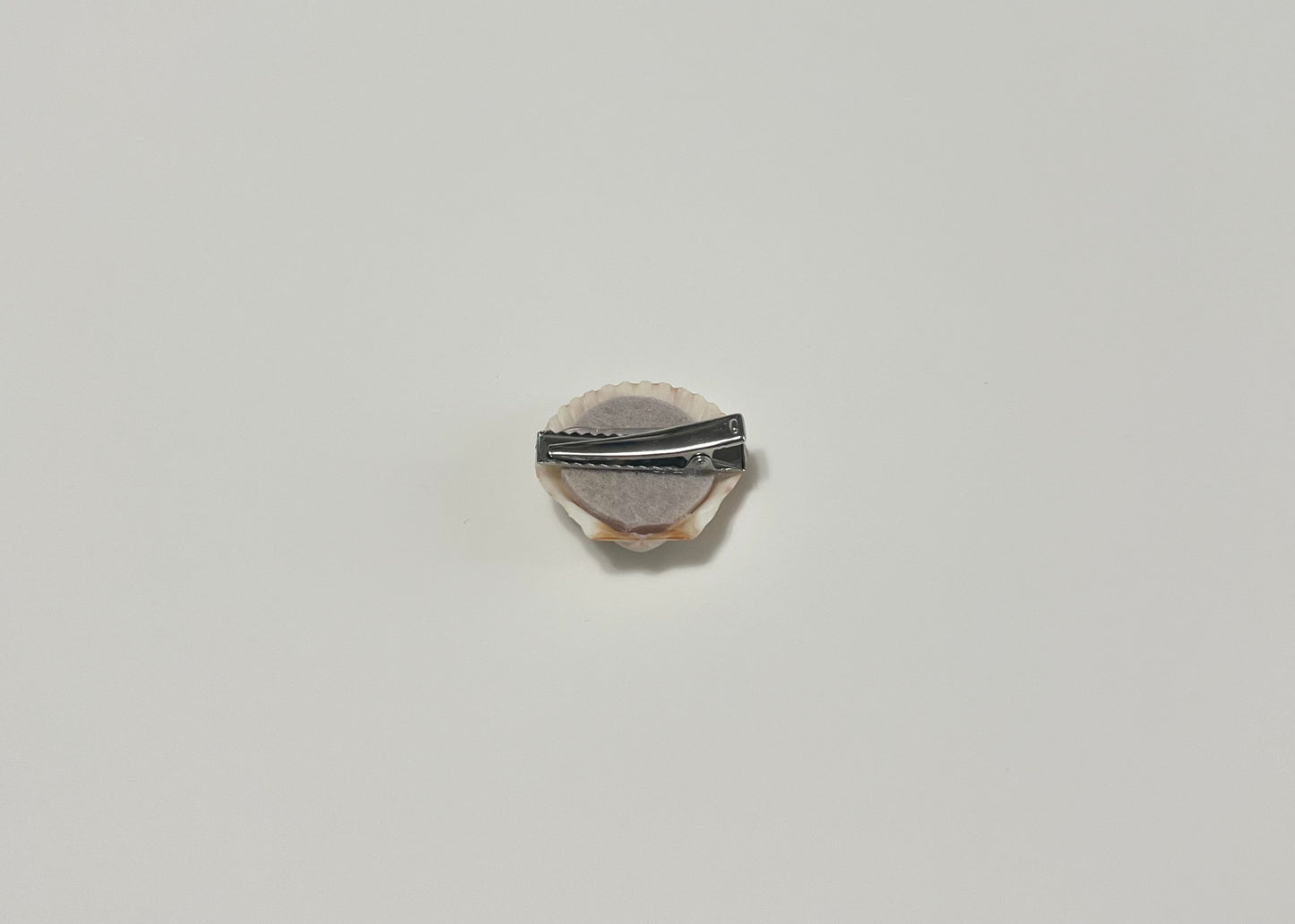 Seashell Clip 1