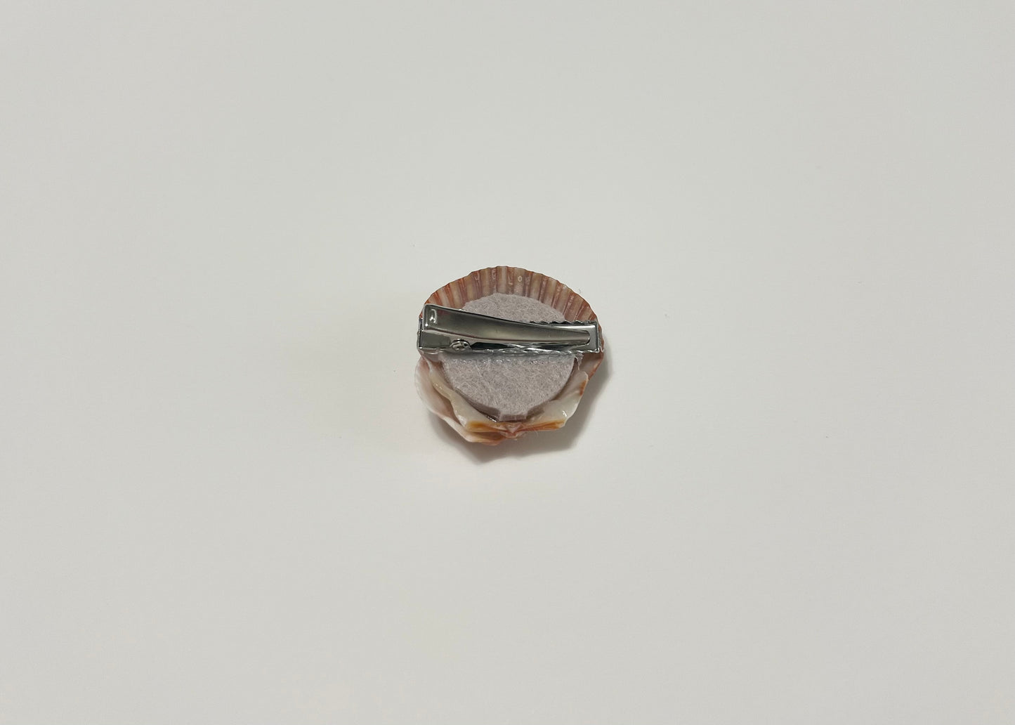 Seashell Clip 4
