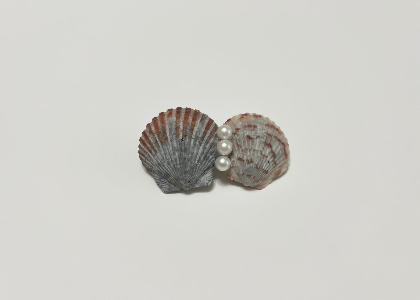 Seashell Barrette 1