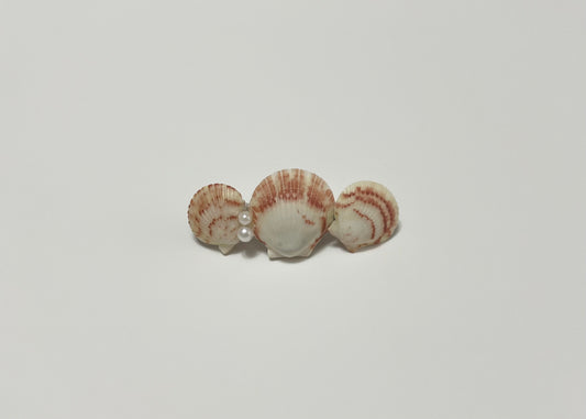 Seashell Barrette 2