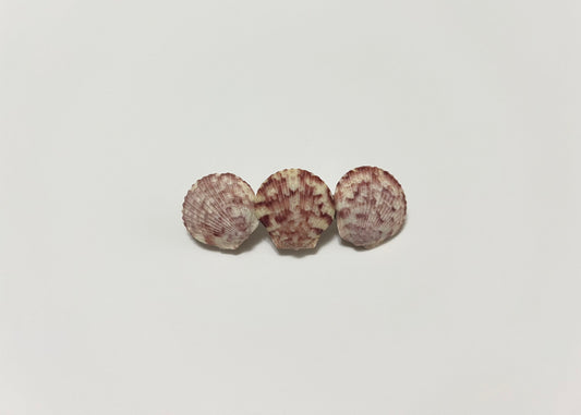 Seashell Barrette 5