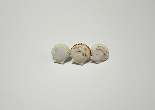 Seashell Barrette 6