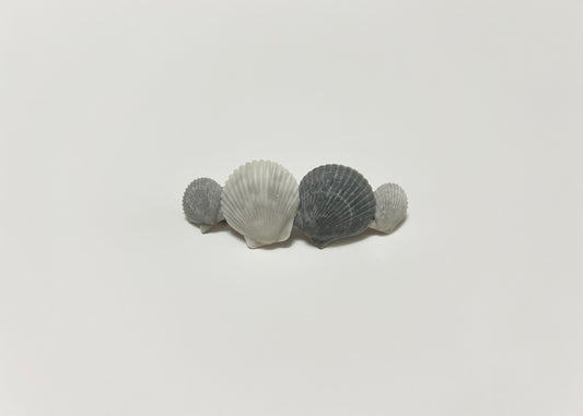 Seashell Barrette 7