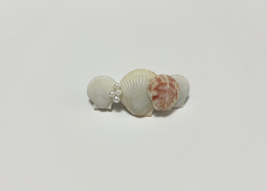 Seashell Barrette 10