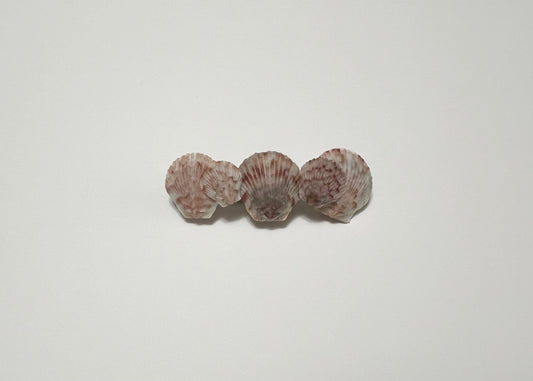 Seashell Barrette 11