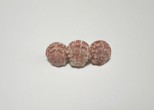 Seashell Barrette 12