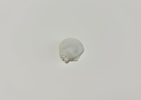 Seashell Clip 3