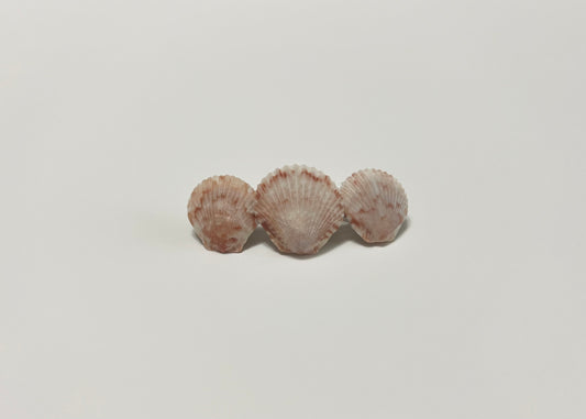 Seashell Barrette 16