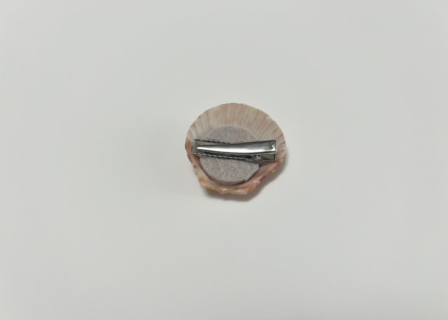 Seashell Clip 10